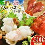 ウチワエビ 三昧 約500g