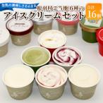 ショッピングふるさと納税 アイス ふるさと納税 根羽村 根羽村 ご当地アイス 6種のアソート 16個セット《80ml×16》