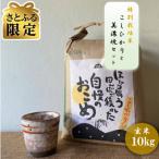 特別栽培米 コシヒカリ 10kg