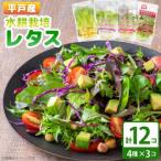 fu.... налог flat дверь город гидропонная культура lettuce 4 вид ×3 шт 