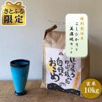 特別栽培米 コシヒカリ 10kg