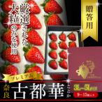 ふるさと納税 斑鳩町 いちご　古都華・ことか　大粒　1パック(9〜15粒入り)