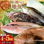 旬の獲れたて鮮魚 冷蔵