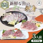 新鮮な魚 刺身~ひらす 鯛 ぶり~ 3人前