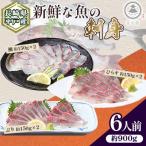 新鮮な魚 刺身~ひらす 鯛 ぶり~ 6人前