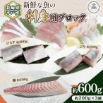 新鮮な魚 刺身用 ブロック 3種