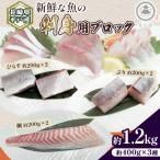 新鮮な魚 刺身用 ブロック 3種