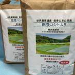 令和8年産 特別栽培米 能登コシヒカリ 無洗米 5kg×2袋