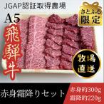 飛騨牛 赤身霜降り焼肉セット