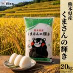 くまさんの輝き 計20kg