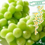 ふるさと納税 笛吹市 2026年発送　シャインマスカット　約4kg