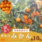 ふるさと納税 諫早市 訳あり【森山果樹園】伊木力みかん 約10kg