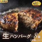 ふるさと納税 南城市 【美ら島あぐー】ハンバーグ8個(4個×2パック　120g/個)