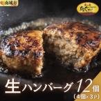 ふるさと納税 南城市 【美ら島あぐー】ハンバーグ12個(4個×3パック　120g/個)
