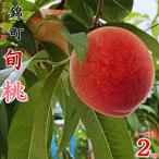 ふるさと納税 錦町 旬の桃 約2kg(5〜6玉)【先行予約 2026年6月上旬〜発送予定】【梨桃工房】(錦町)