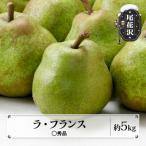 ショッピングふるさと納税 先行予約 ふるさと納税 尾花沢市 先行予約 ラ・フランス ◯秀品 約5kg 2026年産 sb-lamsx5