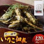 平戸燻製イリコ佃煮 約120g