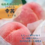 ふるさと納税 伊達市 �