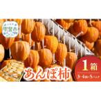 あんぽ柿 大箱 3-4個入り×5パック