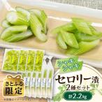 セロリー漬 計2200gセット