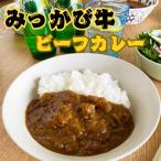 和田牧場のビーフハヤシ 箱無しパウチ状×5P入り
