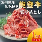 能登牛 切り落とし 500g×2パック