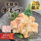 常陸牛もつ 小腸 500g