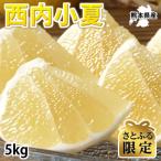 西内小夏 みかん 5kg