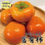 和歌山産富有柿約4kg 化粧箱入り 2L~4Lサイズおまかせ