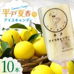 平戸夏香のアイスキャンデー 10本