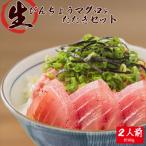 那智勝浦直送 天然もちもち生ビン長まぐろとたたきセット 2…