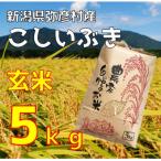 ふるさと納税 弥彦村 新潟県弥彦村石井農園　令和7年産 こしいぶき【玄米 5kg】