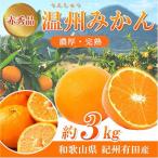 赤秀品 紀州有田産 濃厚完熟 温州みかん 3kg