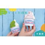 ジェラートショップ ウィンディーランド