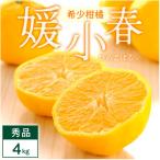 ふるさと納税 八幡浜市 媛小春 4kg 愛媛県 八幡浜市 西宇和地区 希少な幻の柑橘 黄色いみかん【E25-345】