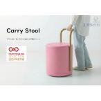 Carry Stool B:三春町の滝桜