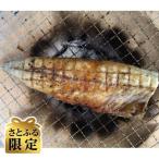 無塩冷凍さばフィーレ小サイズ 計4kg