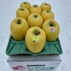 ふるさと納税 黒石市 蔵出し春りんご　シナノゴールド　約3キロ　パリッと食感に、マイルドな酸味　農家直送青森りんご　