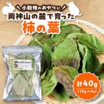 小動物 うさぎなどのおやつ 柿の葉 日本百名山