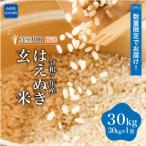 ふるさと納税 真室川町 ★数量限定★「令和7年産 はえぬき」【玄米】 30kg (30kg×1袋) ◆SR7H30M-G