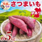 訳あり さつまいも 約5kg
