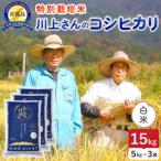令和8年産 佐渡島産川上さんのコシヒカリ