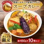 スープカレーセット 10食入り