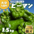 ピーマン 約1.5kg