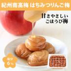 はちみつりんご梅干 梅の想い550g