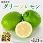 グリーンレモン 約1.5kg