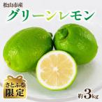 グリーンレモン 約3kg