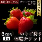 いちごの食べ比べ いちご狩り体験チケット