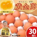産みたて新鮮卵 30個入り