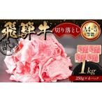 A4等級以上 飛騨牛 切り落とし 250g×4